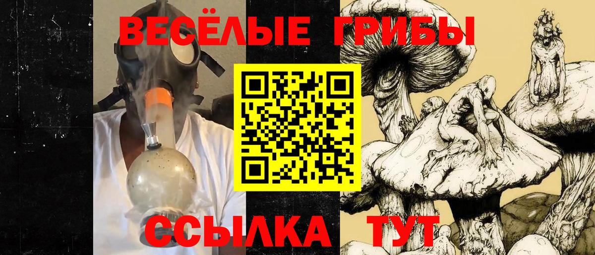 Галлюциногенные грибы Psilocybe  Галлюциногенные грибы MAGIC MUSHROOMS  Трёхгорный  Вход с VPN 